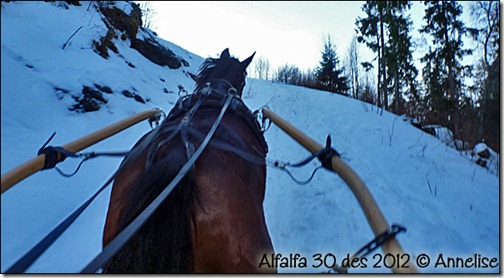 2012-des30-alf_04