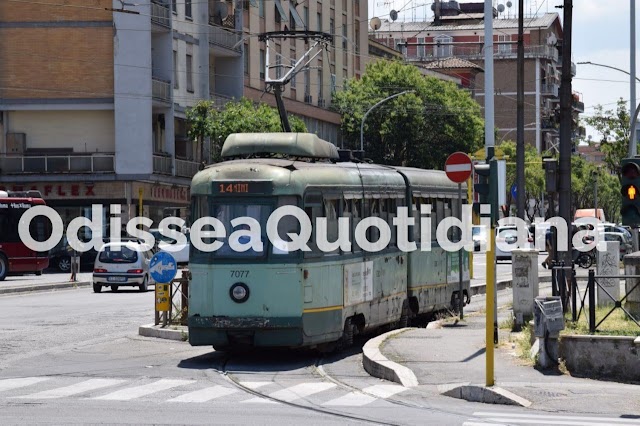 Rete tram: modifiche al servizio dal 1 al 5 agosto per potature