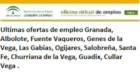 Granada. Lanzadera de Empleo Virtual