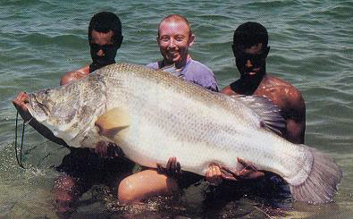 big+fishes+huge+world+record+largest+IGFA+gigante+pesce+biggest+fish++enorme+gigante+ocean+sea+fish+monster+giant+trophy+monde+mundo+poisson+géant+pez+peixe+marine+Lates_niloticus+nile+perch+persico+nilo+nasser+2.jpg (395×245)