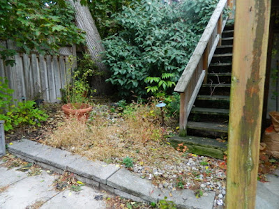 Toronto Beach Hill Fall Garden Cleanup Before by Paul Jung Gardening Services--a Toronto Organic Gardening Company