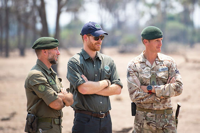 Prince Harry's Changing Role in African Parks Network Sparks Speculation