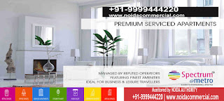 Commercial Property in Noida