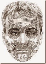 25-FACIAL MUSCLES 1