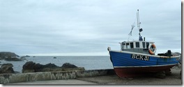 ptk buckie boat