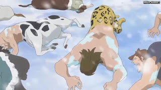 ワンピースアニメ パンクハザード編 587話 | ONE PIECE Episode 587