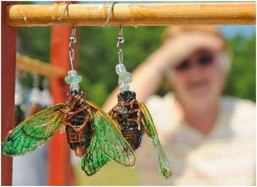 animal jewellery