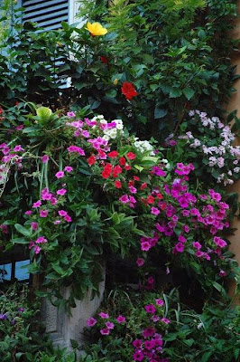 garden balcony