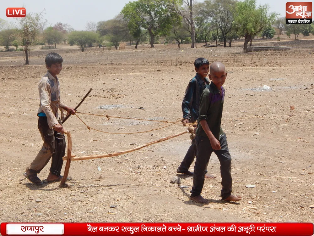 Skul-bull-out-as-unique-tradition-of-child-rural-areas-बैल बनकर सकुल निकालते बच्चे- ग्रामीण अंचल की अनूठी परंपरा 