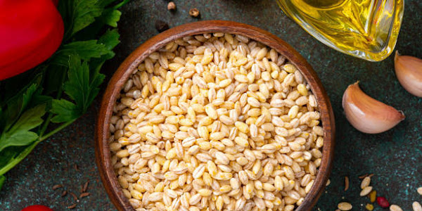 Barley diet: Benefits of using it during fasting month - Health-Teachers