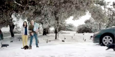 Who is that actor, actress in that TV commercial?: Farmers Insurance "The More You Know" TV ...