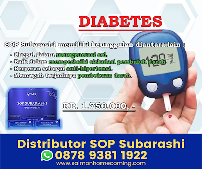 Testimoni SOP Subarashi Diabetes