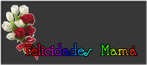 felicidades mama (4)