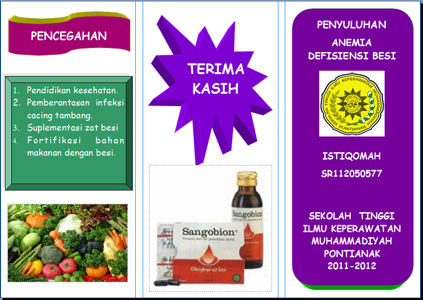 Contoh Leaflet Anemia Defisiensi Besi, pengertian Anemia Defisiensi ...