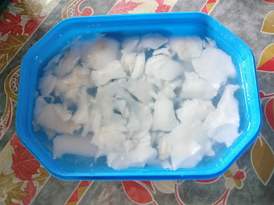 jelly kelapa