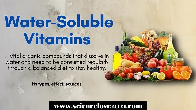 Water-Soluble Vitamins : types, effect, sources