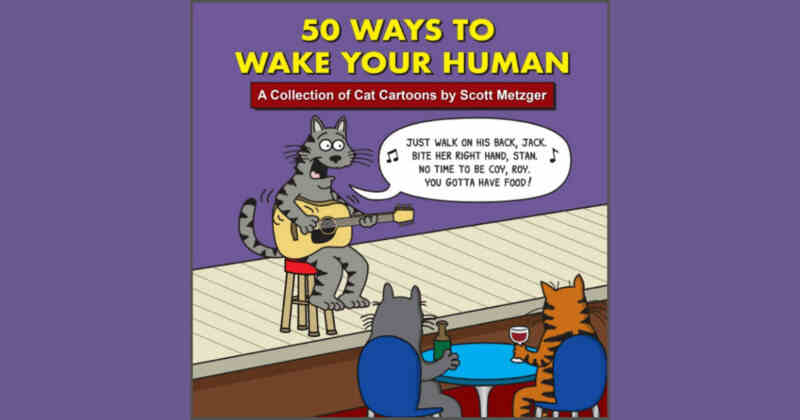 50 Ways To Wake Your Human