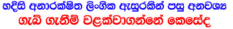 http://lankaeducationnews8.blogspot.com/2015/07/lanka-education-news_24.html