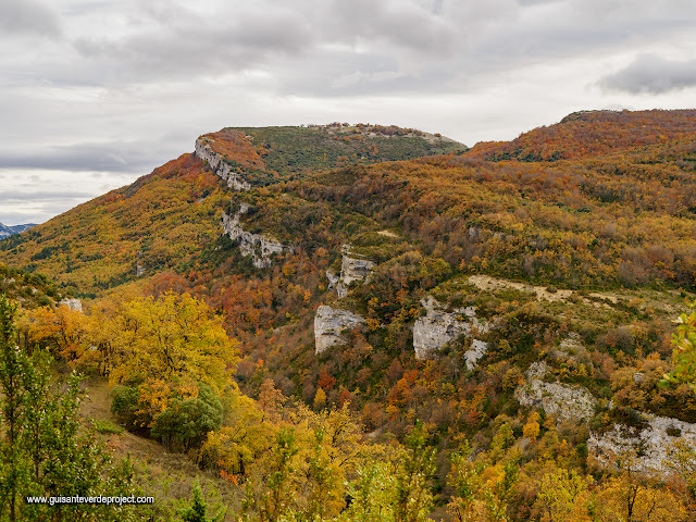 Parque Natural de Izki, colores de otoño en La Muela, por El Guisante Verde Project