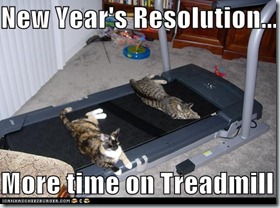 Treadmill Cats