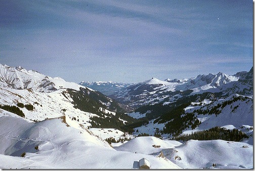 ss1