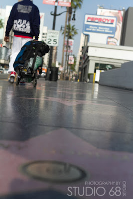 low image of Hollywood Boulevard