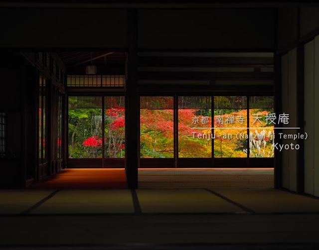 京都 南禅寺･天授庵:書院入口から見える紅葉