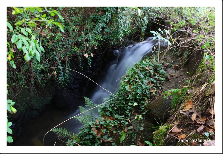 ribeira da mota quede de agua afga 6