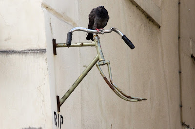 A pigeon perched on the top of a bike frame with the inscription of "RIP" below. Paris, France 2017. © Evan's Studio