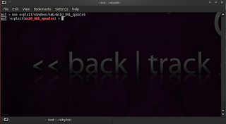 backtrack, backtrack 5, linux, hacking, tutorial, hacking tutorial, ethical hacking, pentest, penetration testing, pc, wpa, wpa2, metasploit, nmap, browser exploit, information gathering, footprinting