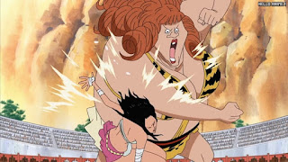 ワンピースアニメ 女ヶ島編 409話 パンジー PANSY | ONE PIECE Episode 409