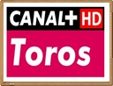 Canal Plus Toros Online Gratis