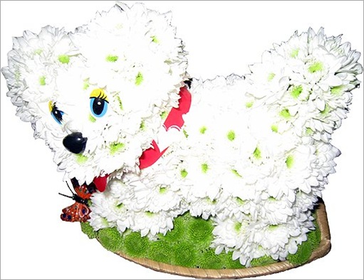 flowers8