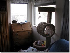 IMG_0018