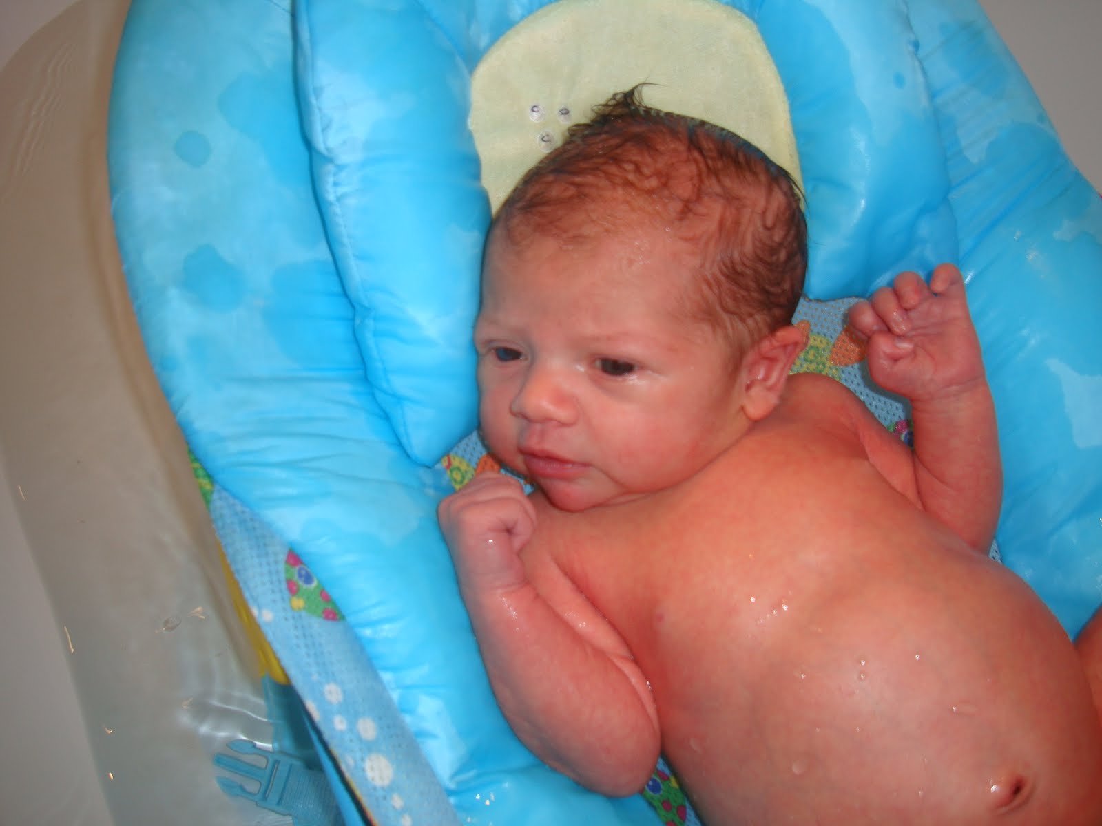 Tales of Wonder: Lessons Learned from Baby's First Bath