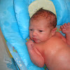Baby's First Bath At Home Video / Baby Bath Essentials + Tips For Baby's First Bath At Home ... - Many families are excited about giving a baby their first newborn bath at home, but waiting a few days is fine, says justin smith, md, a pediatrician at cook children's.