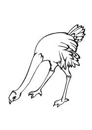 10 Free Mother and Baby Ostrich Coloring Pages