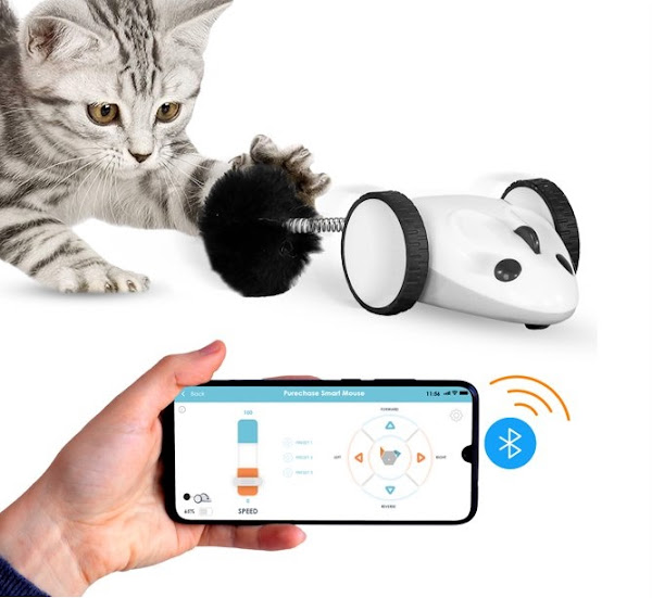 Image: Instachew Purechase Smart Cat Toy
