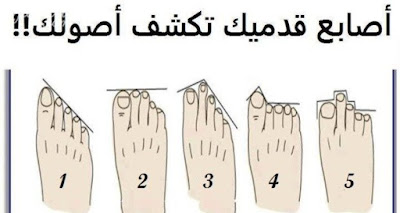  اعرف اصلك وشخصيتك من اصابع قدميك shape of your toes 