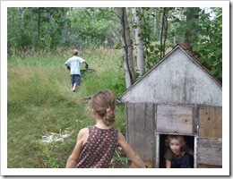 random summer 054