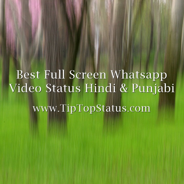 Best Full Screen Whatsapp Video Status Hindi & Punjabi Free Download 2020 .