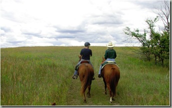 riding ginger