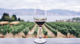 El turismo en la ruta del vino