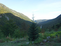 Crawford Notch from Hattie's Garden, NH