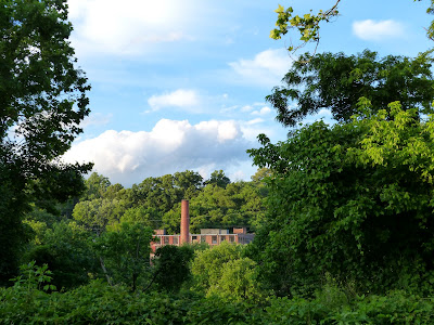 the Ripening, photo a day, old factory, building, trees, green