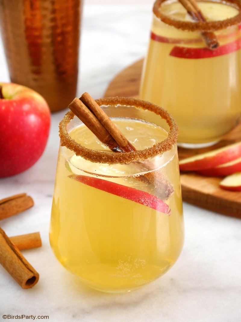 Recette Cocktail Punch Pomme et Cannelle - une recette facile pour un apéro d'automne, à faire en shaker ou un gros lot lors de vos soirées! by BirdsParty.com @birdsparty #recette #pommes #cannelle #pommescannelle #apero #recetteapero #aperoautomne #recettecocktail #recetteboissons