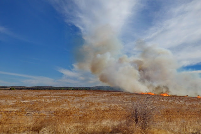 Buschfeuer, Rauchwolke, Rauch, Feuer, Australien