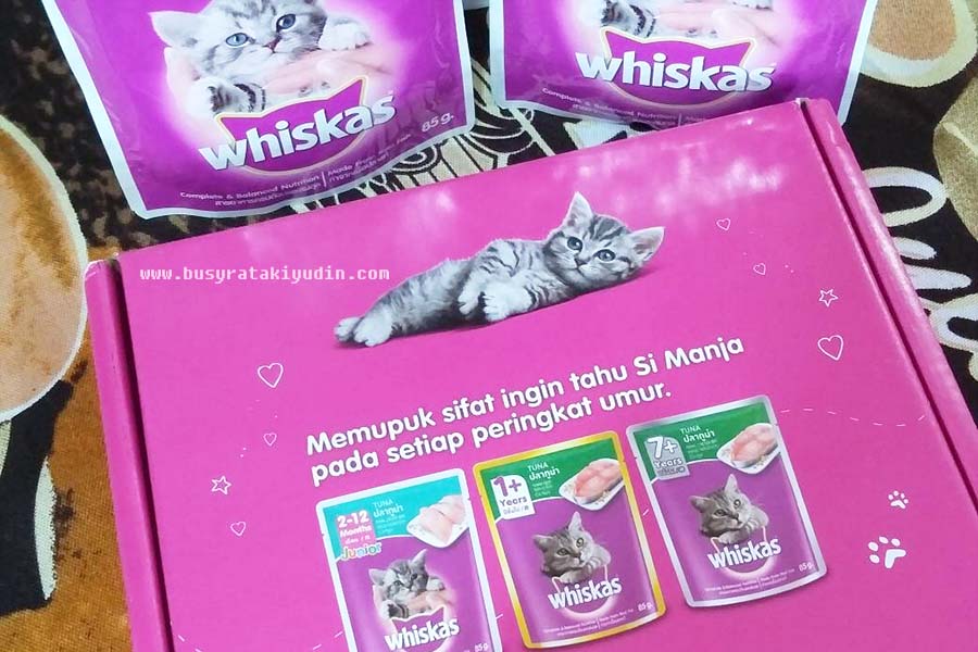 TUAH DAPAT MAKANAN KUCING PERCUMA DARI WHISKAS