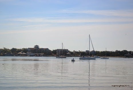Sailboats in the harbor