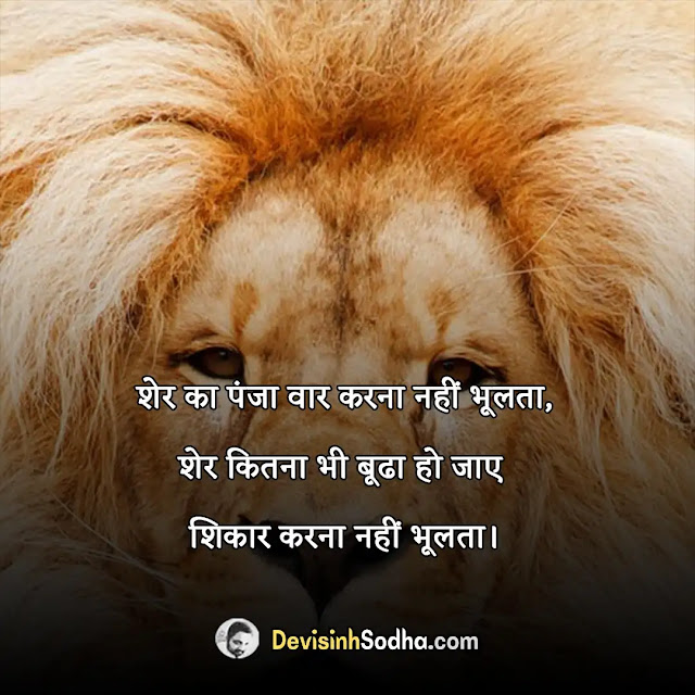 lion quotes in hindi, lion attitude status for whatsapp, बब्बर शेर स्टेटस इन हिंदी, शेर शेर होता है स्टेटस, शेर पर शायरी, शेर व्यक्ति के लिए स्टेटस, दहाड़ता शेर स्टेटस, शेर और गीदड़ की शायरी, घायल शेर पर शायरी, जंगली शेर पर शायरी